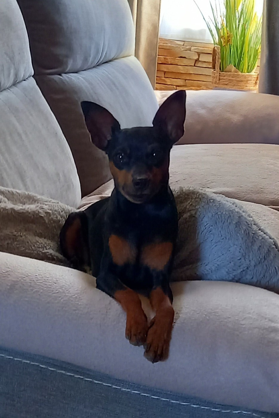 U riquette (Sans Affixe)